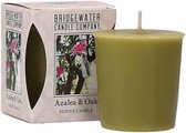 Azalea & Oak Votive Bridgewater 3 stuks