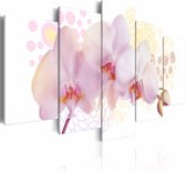 Schilderij - Delicate Orchidee , wit roze , 5 luik
