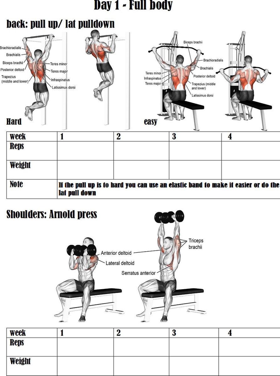 Full Body workout training schema | bol.com