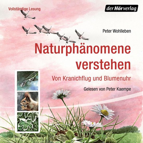 Naturphänomene verstehen - cover