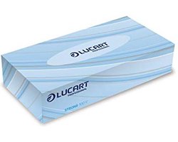 Lucart Professional Facial Tissues 2 -laags 21x20cm