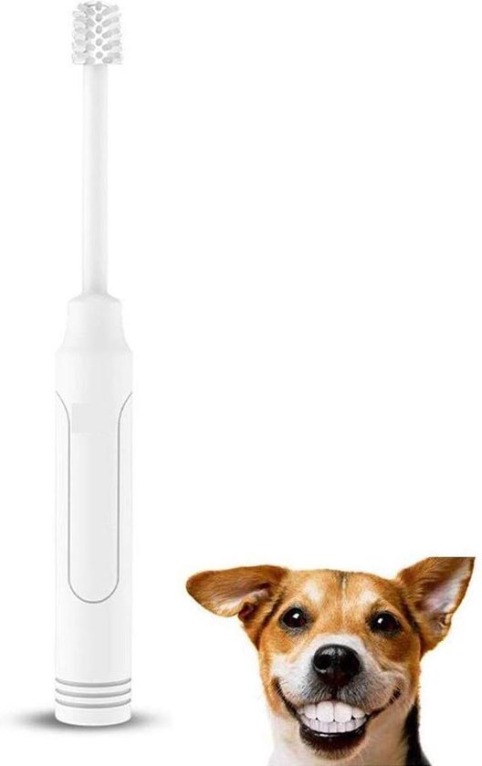 regeling Efficiënt Adverteerder Elektrische dieren tandenborstel voor Hond of kat / Hondentandenborstel /  Honden... | bol.com