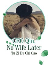 Volume 4 4 - CEO Qin, No Wife Later