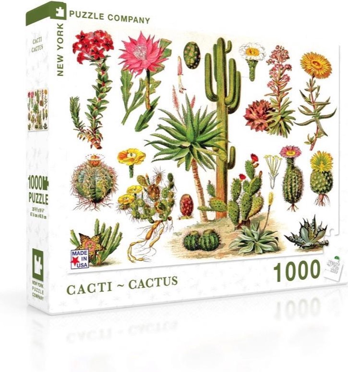 New York Puzzle Company - Vintage Images Cacti ~ Cactus - 1000 stukjes puzzel