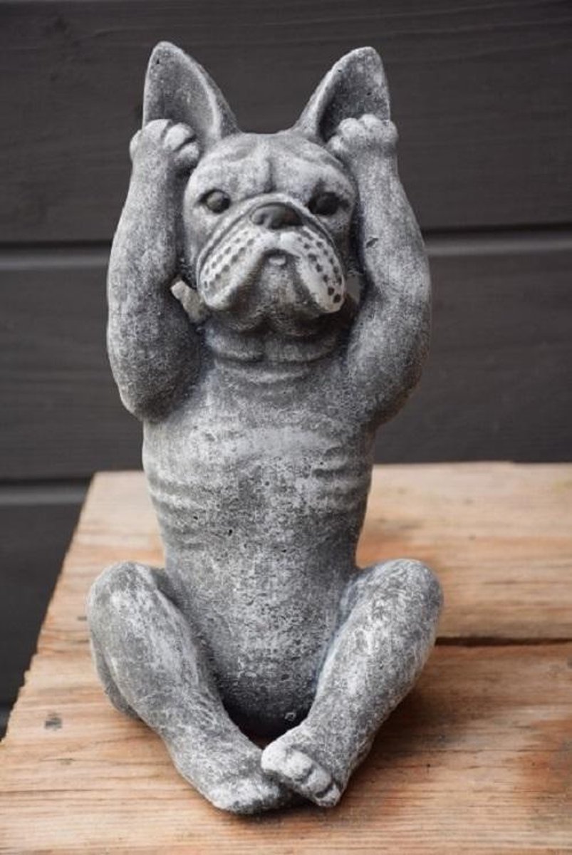 Franse bulldog zien zwijgen van beton | bol.com