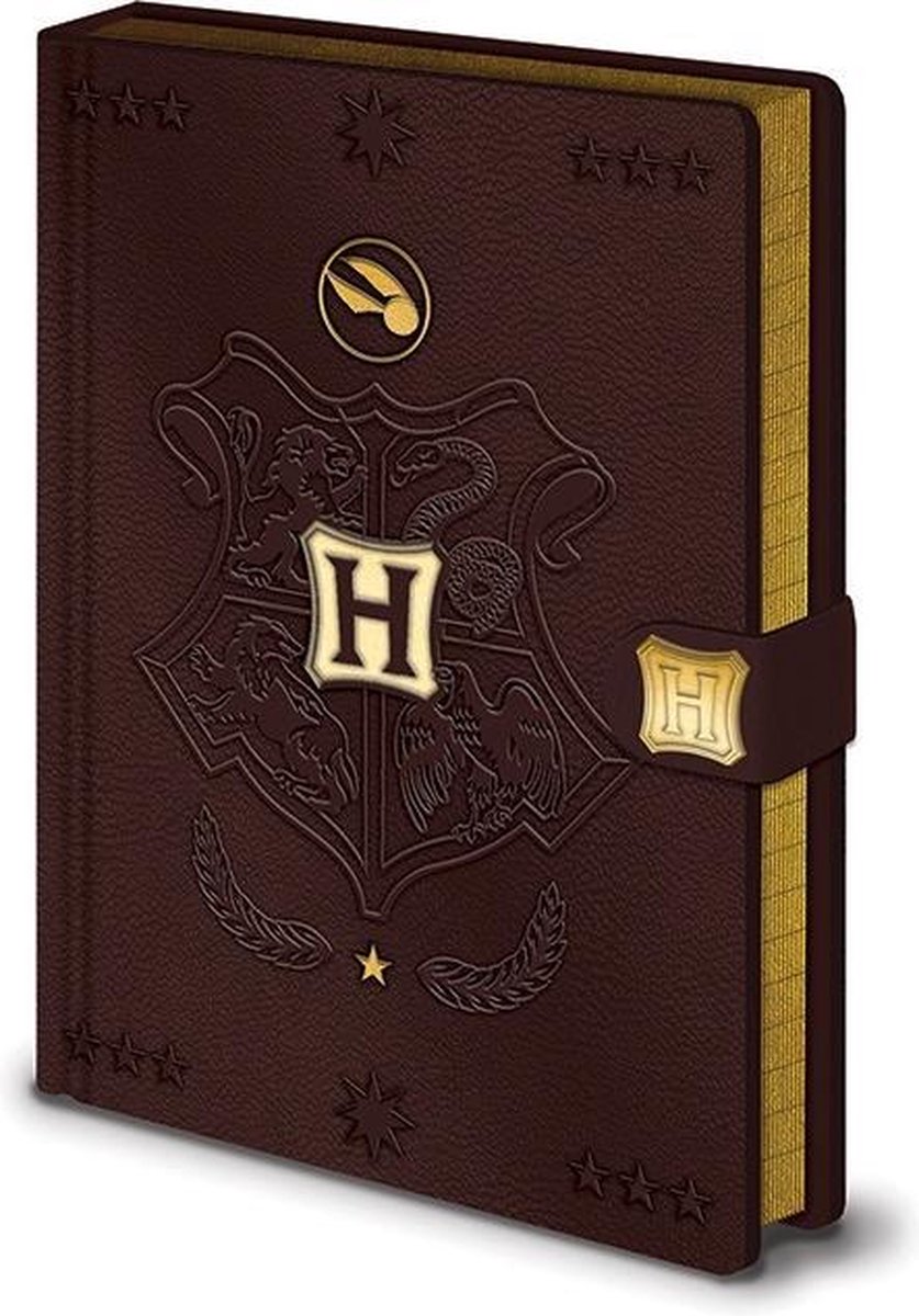 Notitieboek - Harry Potter: Quidditch - A5