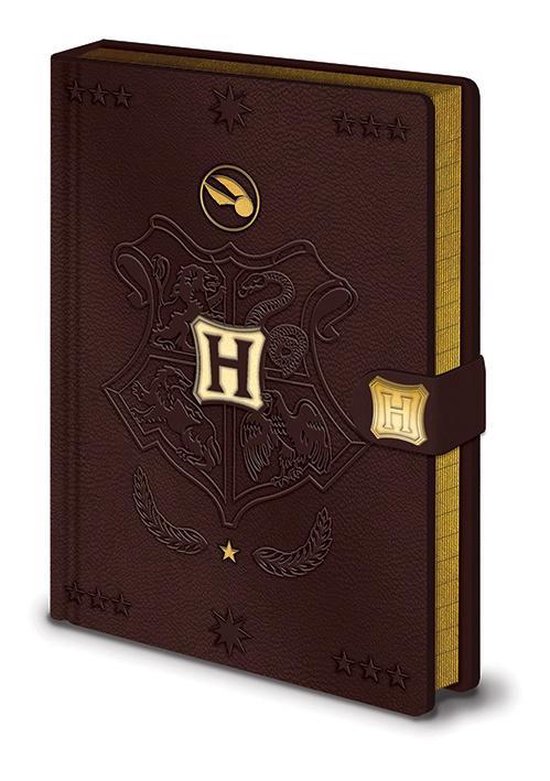 Harry Potter - Quidditch - A5 - Premium Notitieboek - Bruin