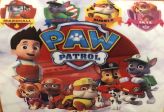 paw patrol diamond painting
