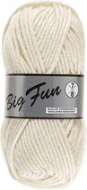 Big fun dik acryl garen ecru - naald 7 a 8 - 5 bollen