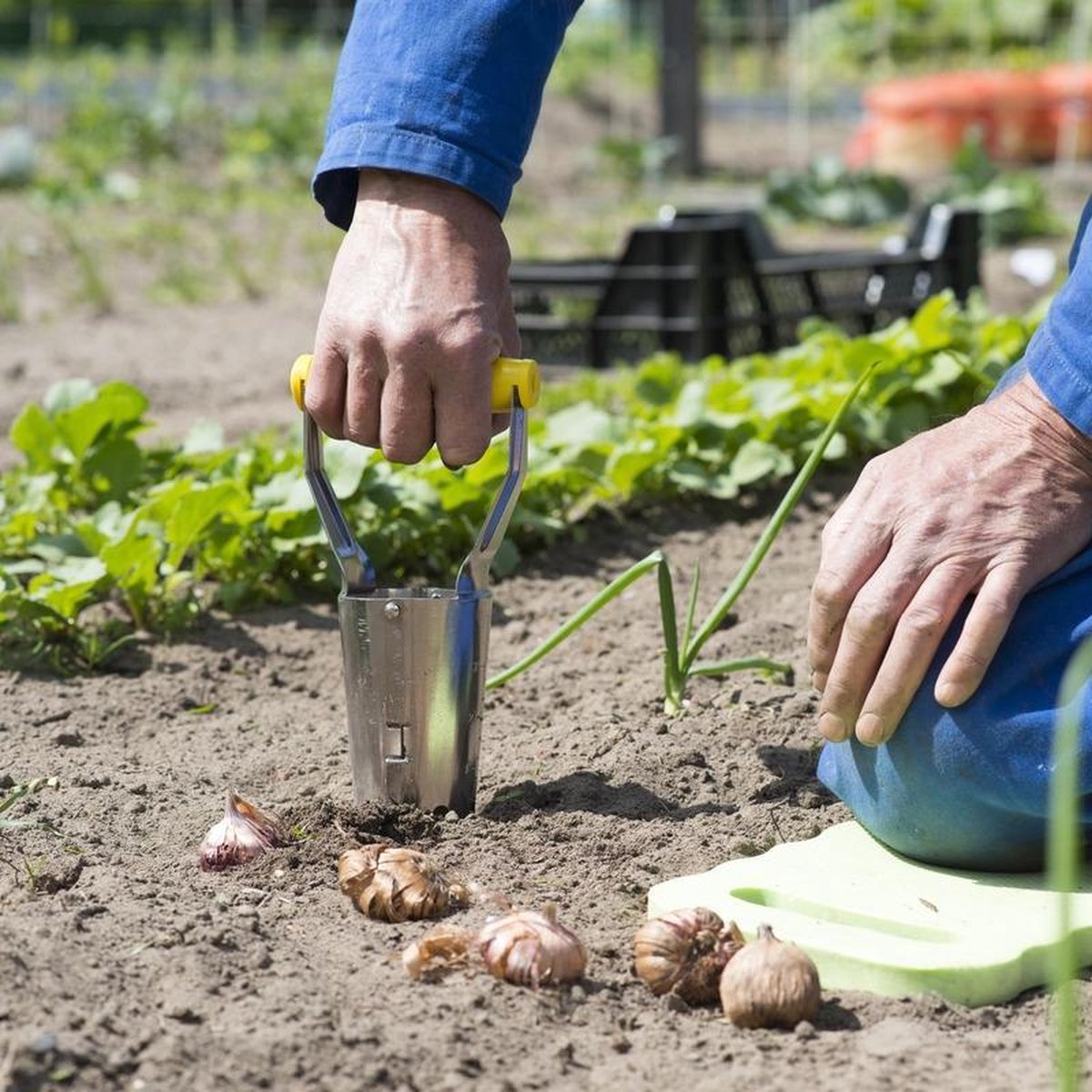 Bollenplantautomaat aardeschep tuinier handgereedschap 24 cm - Moestuin...  | bol.com