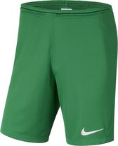 Nike Park III Sportbroek - Maat M  - Mannen - groen