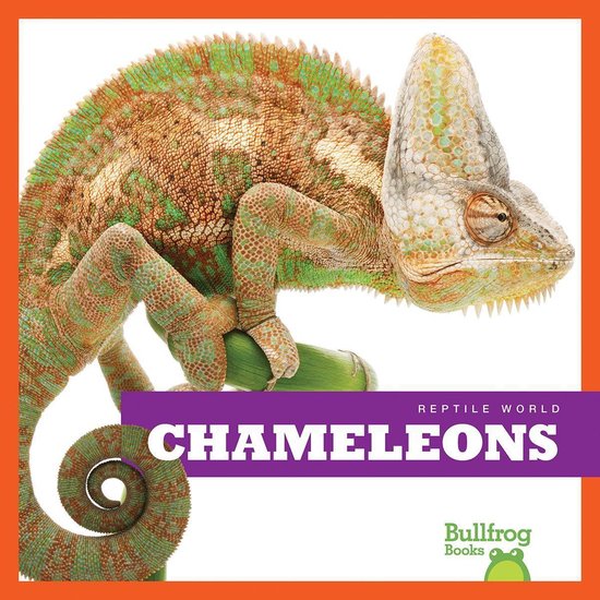 Chameleons - cover