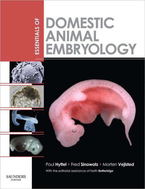 Essentials Of Domestic Animal Embryology - cover
