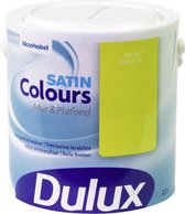 Dulux Colours Mur & Plafond Absinthe Satiné 2.5L