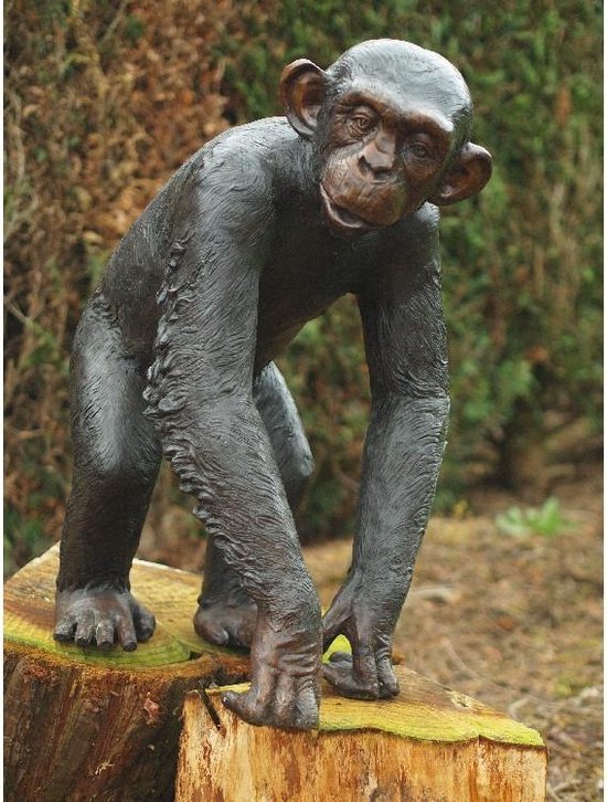 Statue de jardin statue en bronze Chimpanzé 77 cm de haut