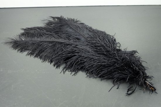 Struisvogelveren 5 - - 60 cm Struisvogel veren - zwart decoratie veren | bol.com