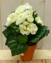 Kunstbegonia wit in potje