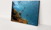 Koraal met vissen | 150 x 100 CM | Canvasdoek voor buiten | Schilderij | Outdoor | Tuindoek