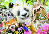 Selfie met Panda en zijn vrienden