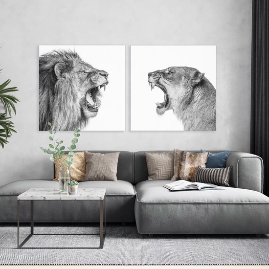 Lion et Lionne White sur métal |  50 x 50 cm | AfficheGuru