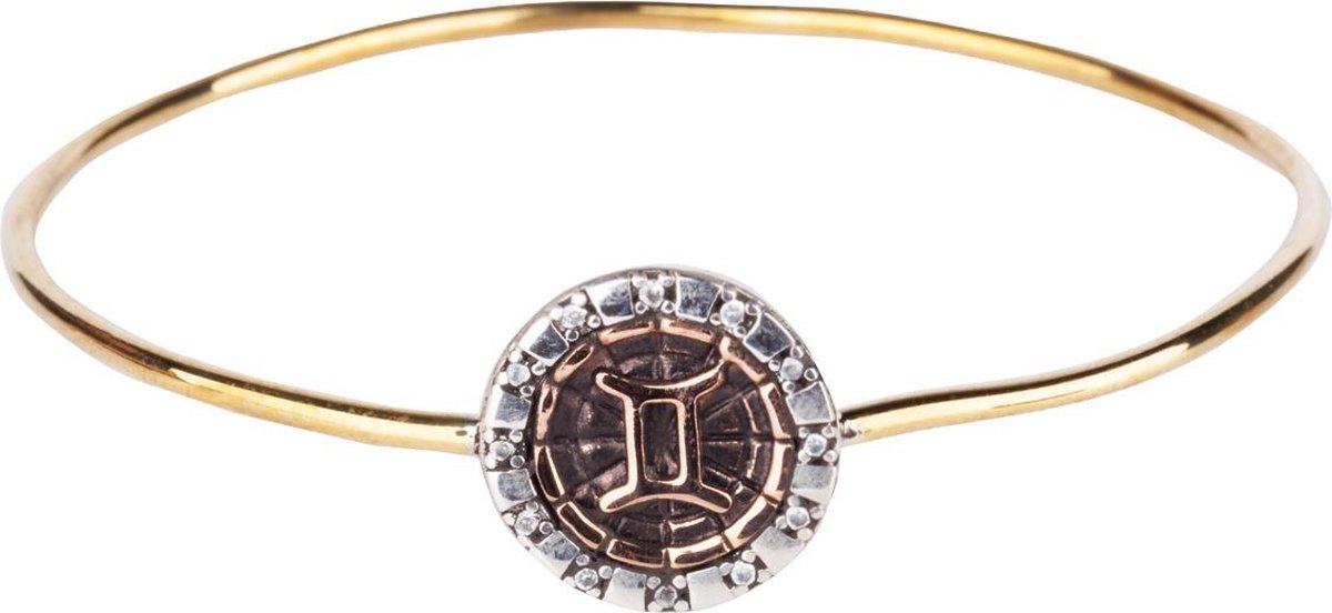 BiggDesign - Armband Dames - Armband Sterrenbeeld Vissen
