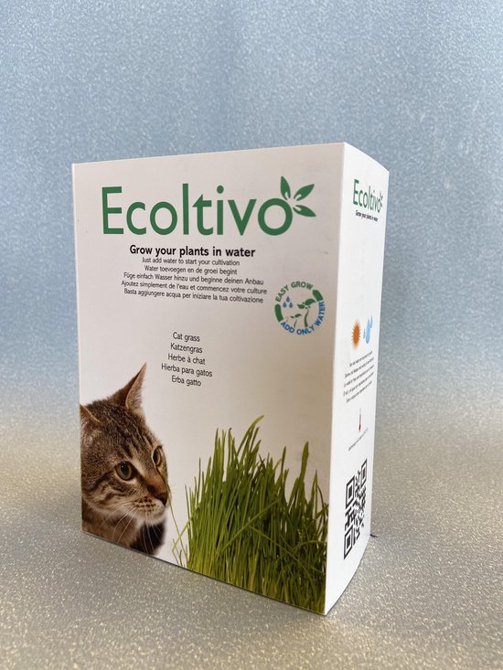 Herbe à chat ECOLTIVO - culture hydroponique (pousse sur l'eau)