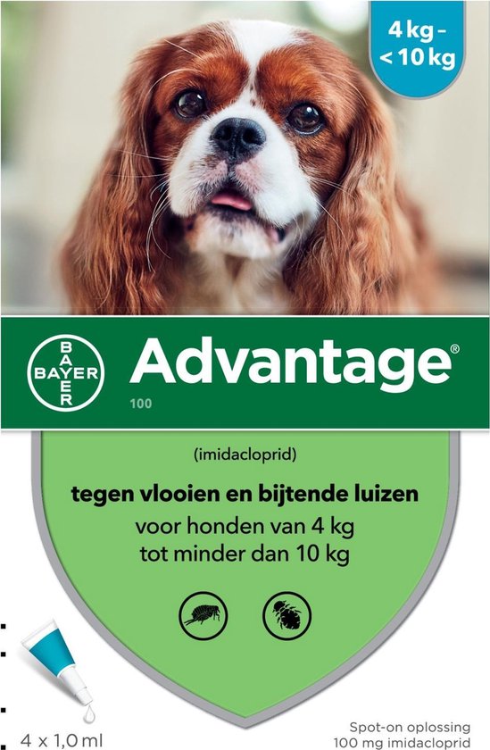 Advantage 100 Hond 4-10 kg - 4 Pipetten à 1,0 ml