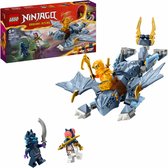 LEGO Ninjago Jonge draak Riyu - 71810