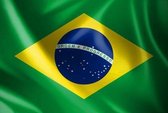 New Age Devi - Braziliaanse Vlag - 90x150cm - Sterke Kwaliteit - Originele Kleuren - Incl. Bevestigingsringen - Brazilië Flag