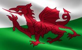 New Age Devi - Wales Vlag 90x150cm - Originele Kleuren - Sterke Kwaliteit - Met Bevestigingsringen - Welse Vlag