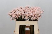 DutchFlowers - Boeket - 20x Rosa upper class 40cm