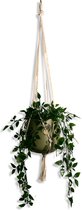 Plantenhanger - Gebroken Wit - 80 cm - Katoen - Macramé - Handgemaakt in Nederland - Let op: Excl. Pot - Inclusief Verzendkosten