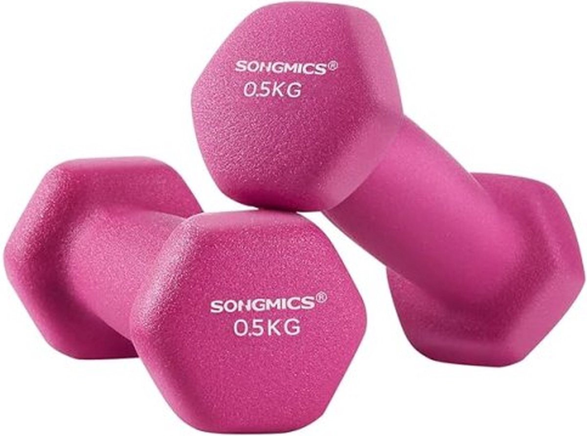 Dumbbells set van 2, 2 x 0,5 kg halters met matte neopreen coating niet-slip fitness krachttraining voor thuisgymroze roze