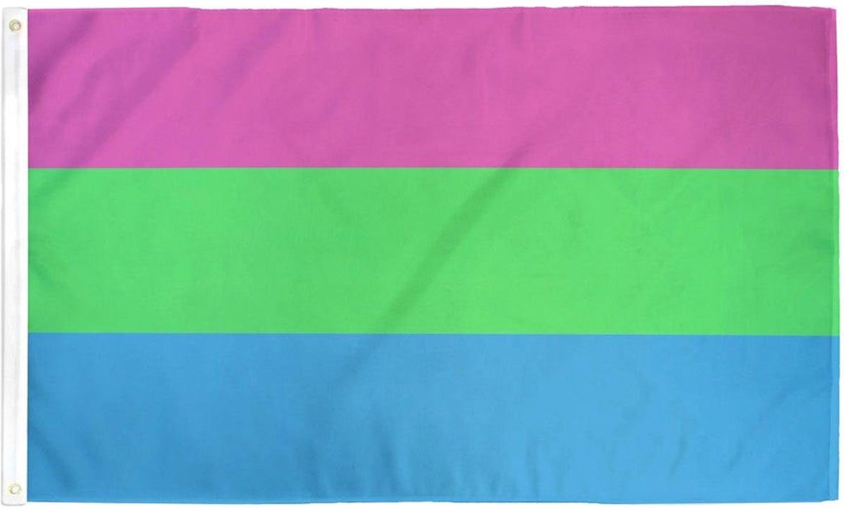 Polysexual Pride vlag 90x150 cm - Polyester - 2 ophangringen - Polyseksueel flag