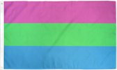 Polysexual Pride vlag 90x150 cm - Polyester - 2 ophangringen - Polyseksueel flag