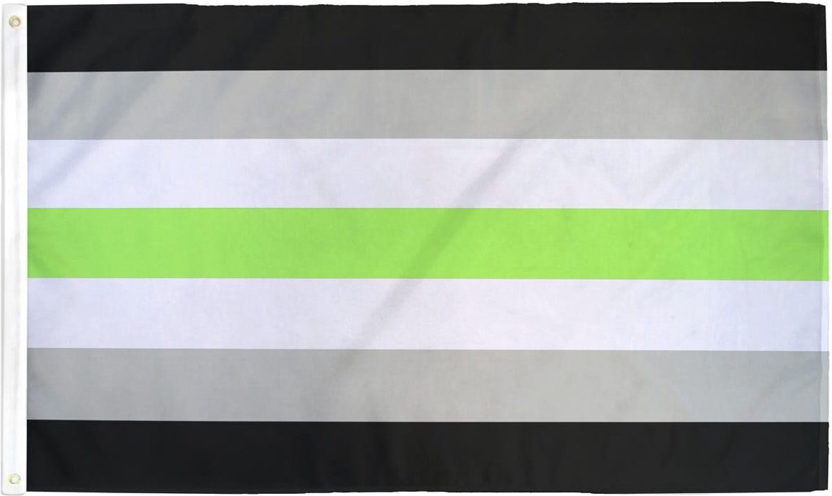Agender Pride vlag 90x150 cm - Polyester - 2 ophangringen - flag
