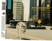 Roadtrippin' - CD-Single