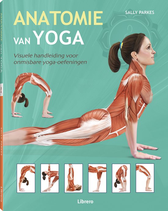 Anatomie van yoga - cover