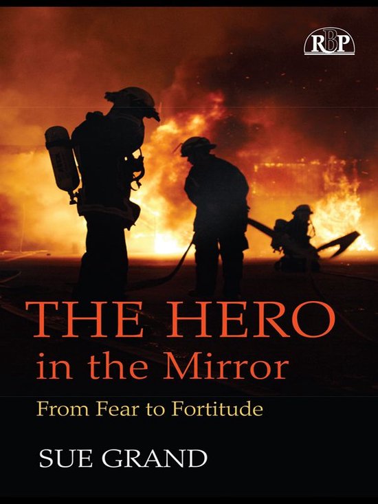Relational Perspectives Book Series - The Hero in the Mirror - cover