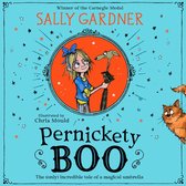 Pernickety Boo: A beautifully illustrated, magical, fantasy adventure for kids aged 7+