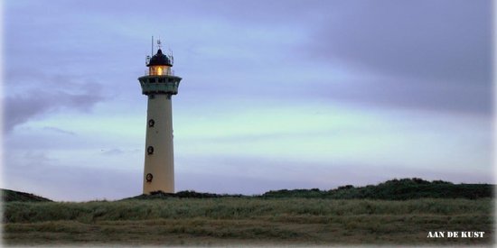 Ecaros metalen infrarood paneel 400 Watt met afbeelding