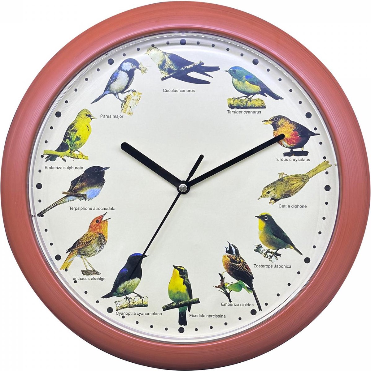 Herzberg Hg-03701: Klok met vogelgeluid Japanse Zangvogel - Hout