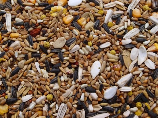 Oswalt Strooivoer - Vogelvoer - Buitenvogels - 20KG Strooivoer