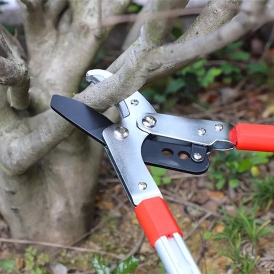 Takkenschaar Budget - Tuingereedschap - tuin & dier
