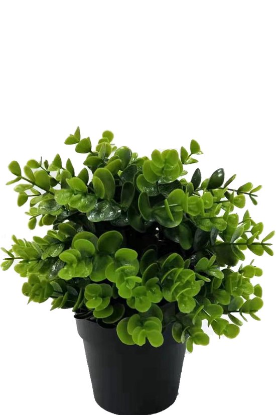 Plante artificielle Verte en pot 22cm UV - pour l'intérieur et l'extérieur
