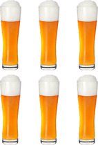 Professionele Bierglazen - (6 stuks) - 300ml - Bierglas - Bier - Glas - 30cl/0.3L - Pils - Glazen set - Hoogwaardige Kwaliteit - Vaasje - Speciaal Bier - Weizen
