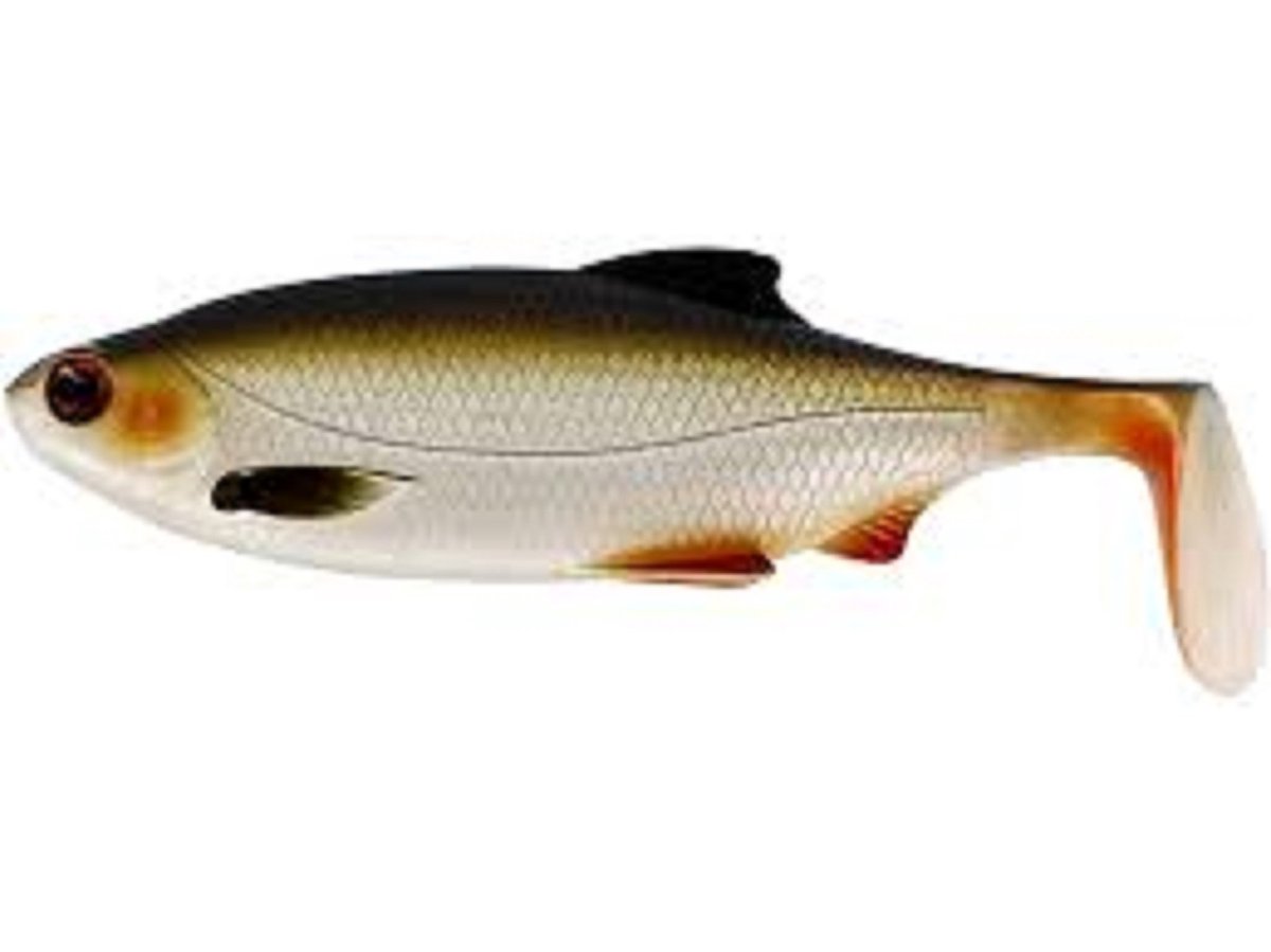 Westin Ricky The Roach Shadtail | 18cm | 85g Lively Roach 18cm
