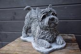 Cairn Terrier, betonnen (tuinbeeld)