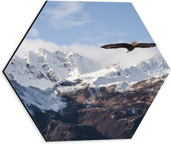 Dibond Hexagon - Bergen - Vogel - Adelaar - Sneeuw - 30x26.1 cm Foto op Hexagon (Met Ophangsysteem)