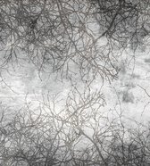 Fotobehang - Branch Abstract 225x250cm - Vliesbehang